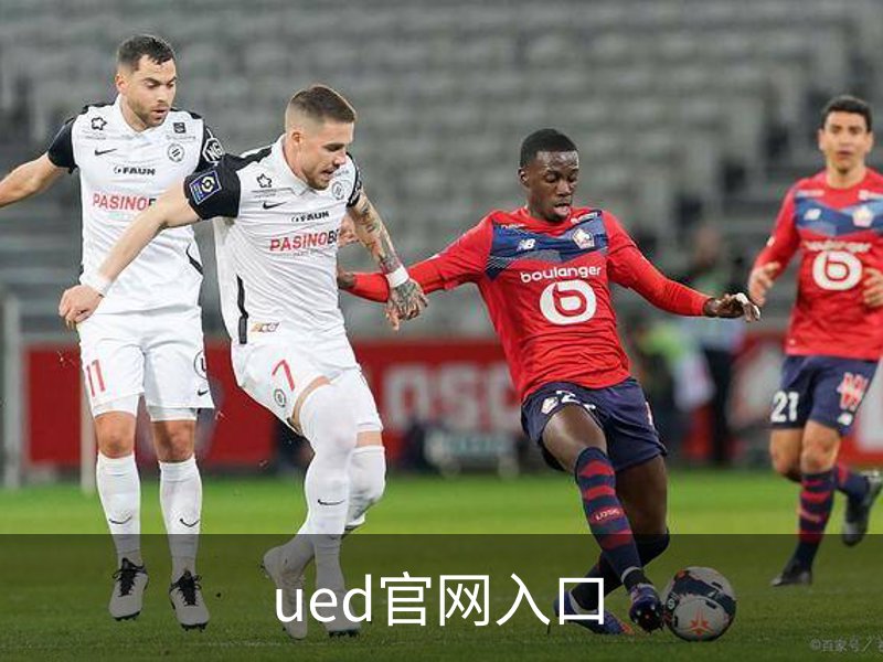 ued官网入口简介